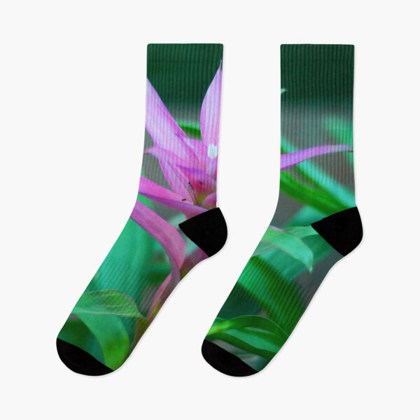 Item preview, Colorful  Bromeliad Plant designed and sold by Asiantiger247.