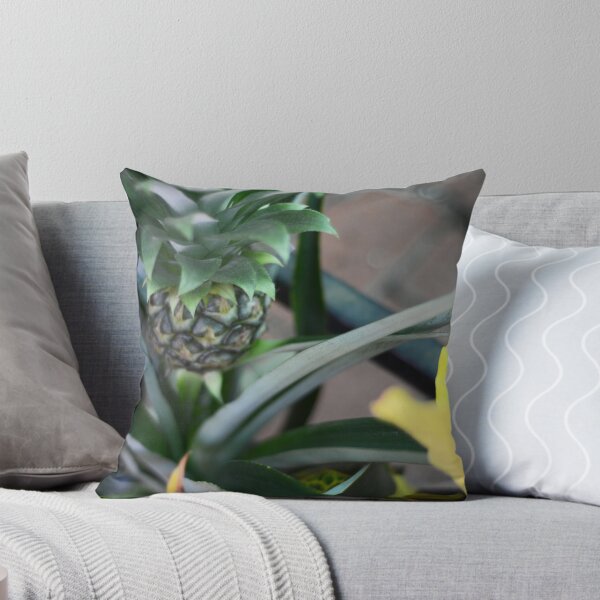 Item preview, Baby Pineapple Plant designed and sold by Asiantiger247.