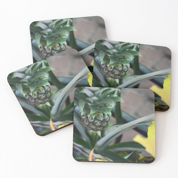 Item preview, Baby Pineapple Plant designed and sold by Asiantiger247.