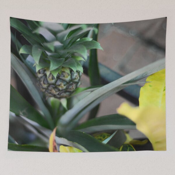 Item preview, Baby Pineapple Plant designed and sold by Asiantiger247.