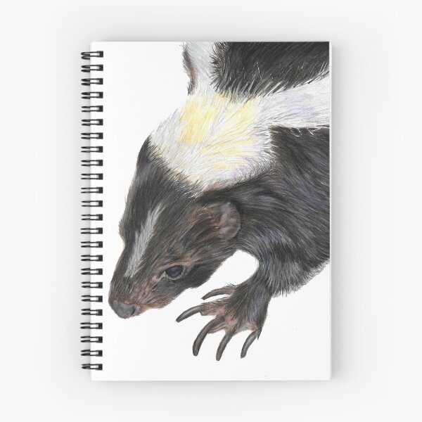 Item preview, Skunk drawing designed and sold by Sarah Williams-Nash.