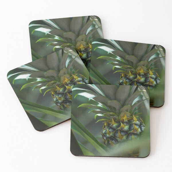 Item preview, Baby Pineapple Plant designed and sold by Asiantiger247.
