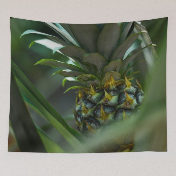 Item preview, Baby Pineapple Plant designed and sold by Asiantiger247.