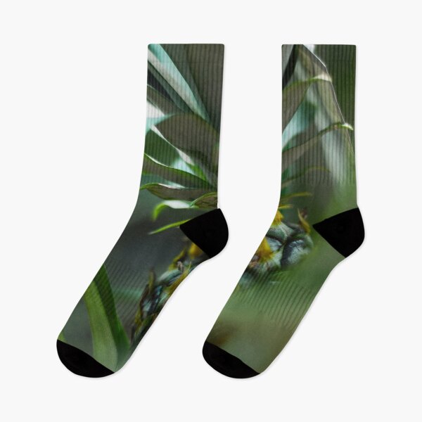 Item preview, Baby Pineapple Plant designed and sold by Asiantiger247.