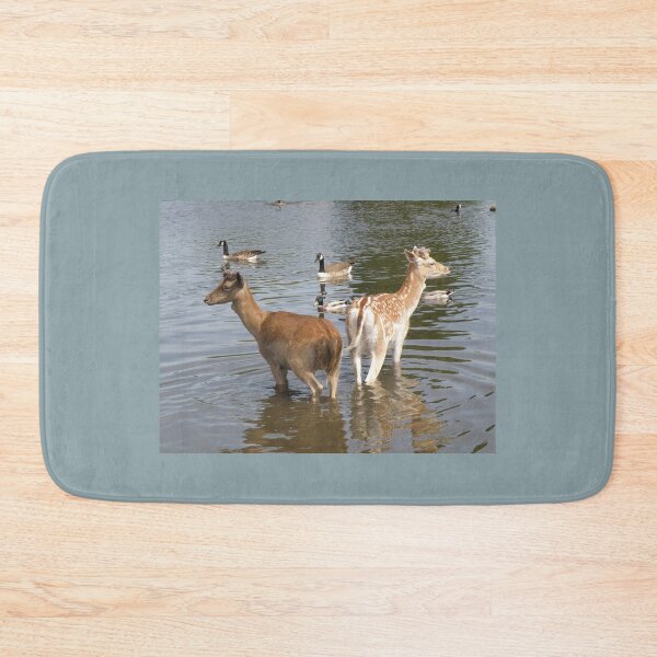 Item preview, Male Fallow Deer Taking A Dip Photograph designed and sold by naturegallery.