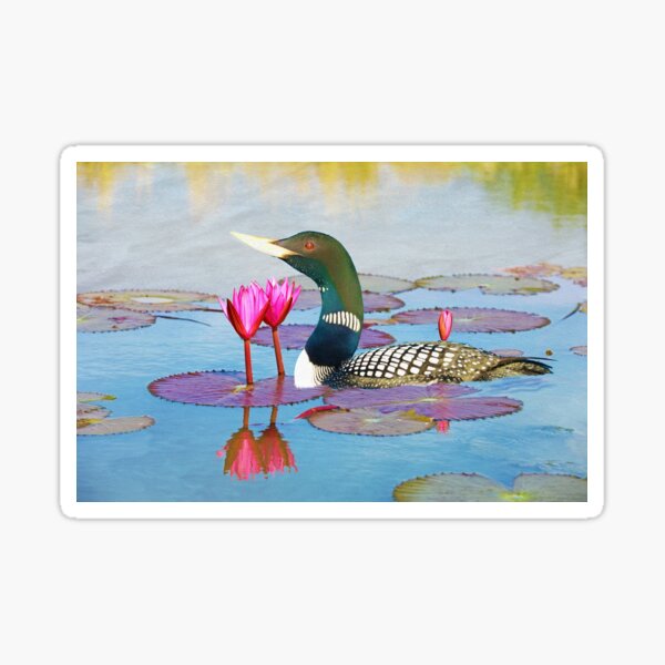 Item preview, Yellow Billed Loon and Pink Lotus Flowers designed and sold by FineArtography.