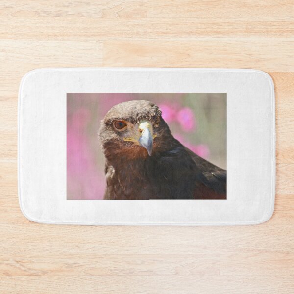 Item preview, Harris Hawk portrait designed and sold by RichImage.