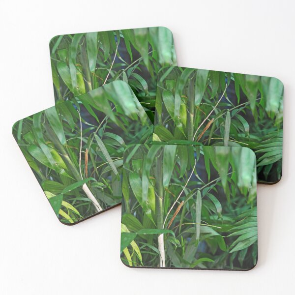 Item preview, Bamboo Tropical Plant designed and sold by Asiantiger247.