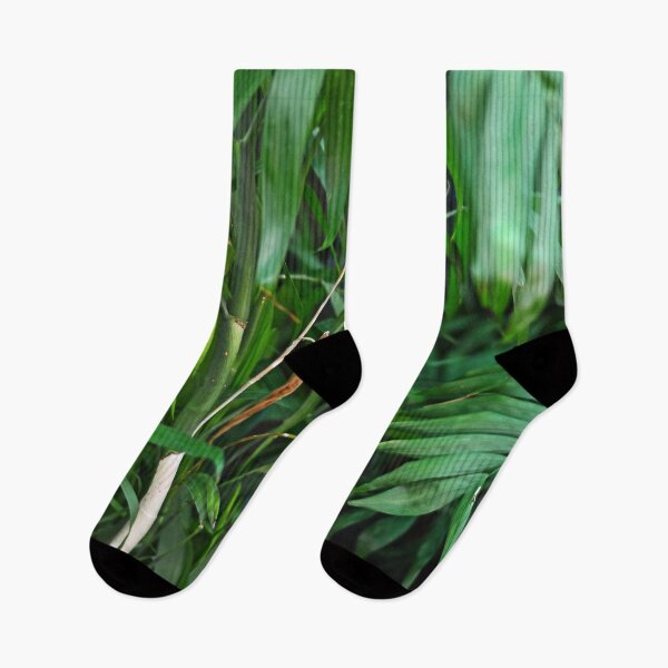 Item preview, Bamboo Tropical Plant designed and sold by Asiantiger247.