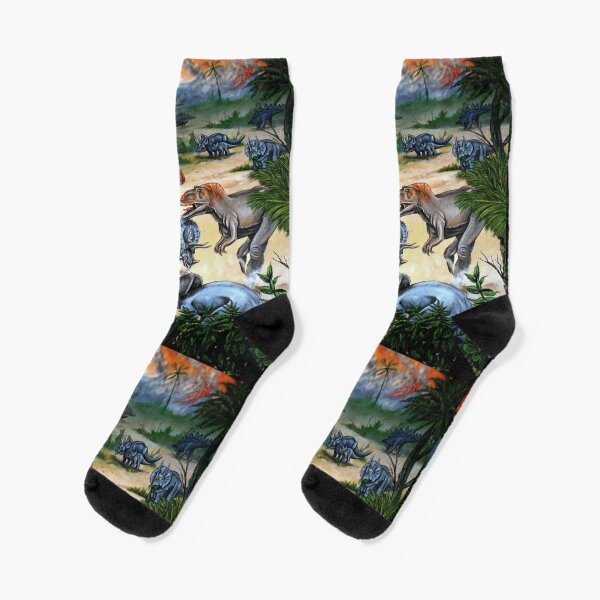Socks