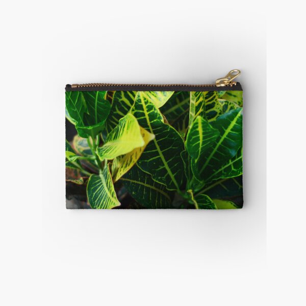 Item preview, Croton Plant designed and sold by Asiantiger247.