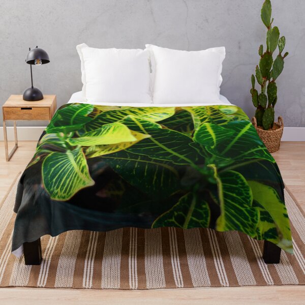 Item preview, Croton Plant designed and sold by Asiantiger247.