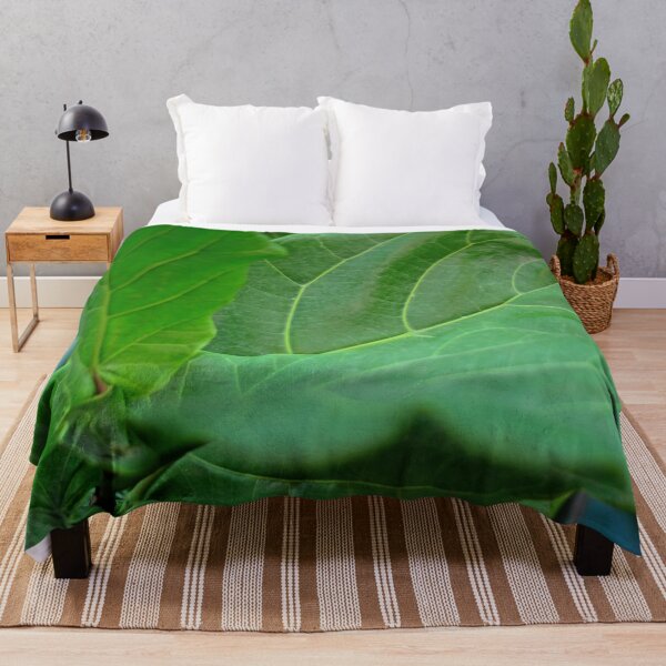Item preview,  Fiddle-leaf fig Plant designed and sold by Asiantiger247.