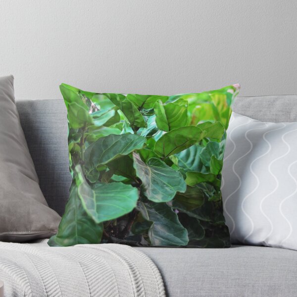 Item preview, Fiddle-leaf fig Plant designed and sold by Asiantiger247.