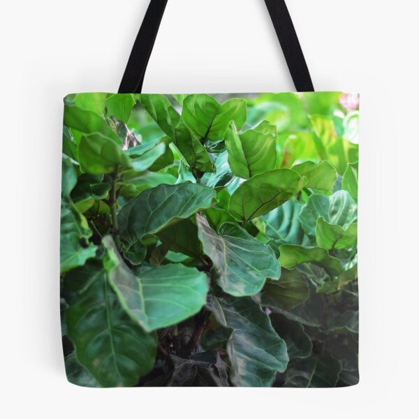Item preview, Fiddle-leaf fig Plant designed and sold by Asiantiger247.