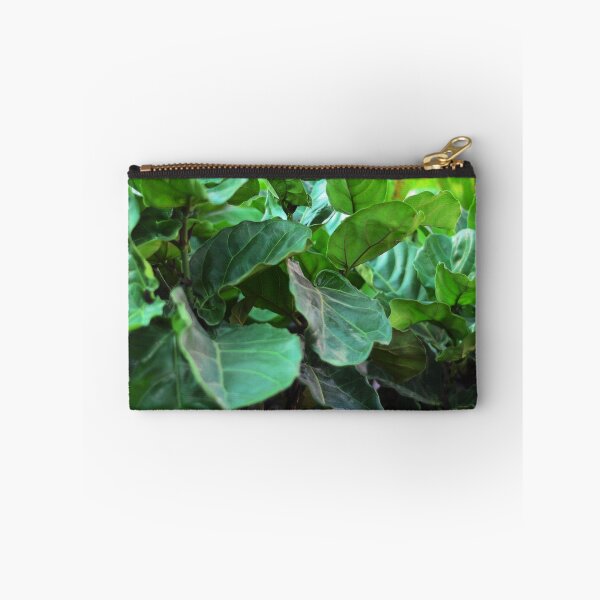 Item preview, Fiddle-leaf fig Plant designed and sold by Asiantiger247.