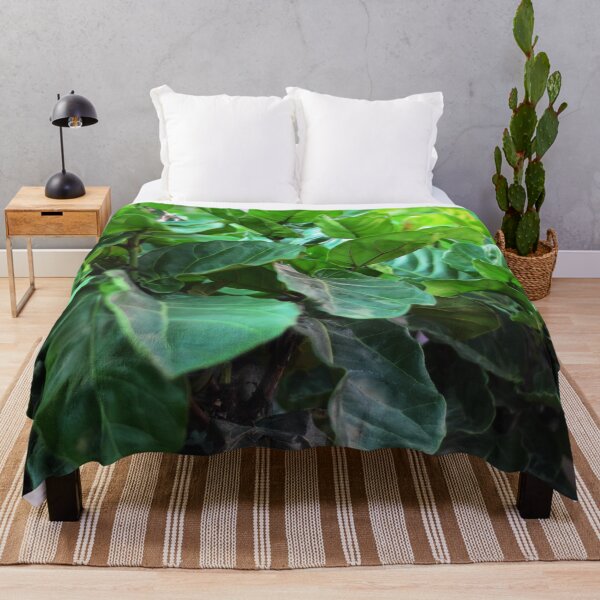 Item preview, Fiddle-leaf fig Plant designed and sold by Asiantiger247.