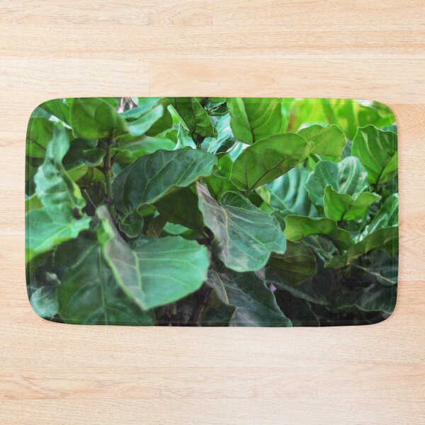 Item preview, Fiddle-leaf fig Plant designed and sold by Asiantiger247.