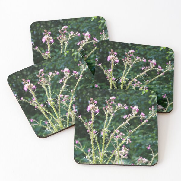 Item preview, Creeping Thistle designed and sold by pinkal.