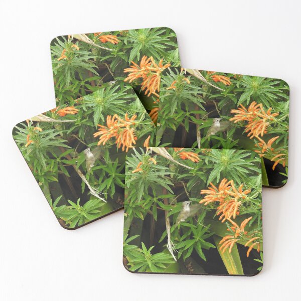 Item preview, Hummingbird, Wildlife, Nature, gifts designed and sold by Sandra O'Toole.