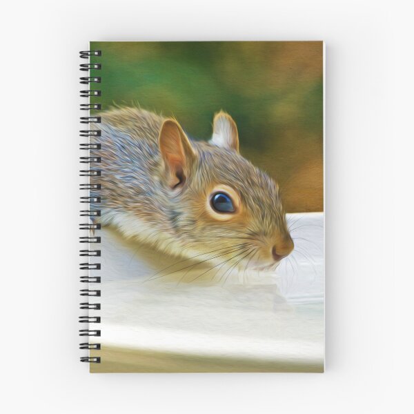 Item preview, North American Ground Squirrel designed and sold by FineArtography.