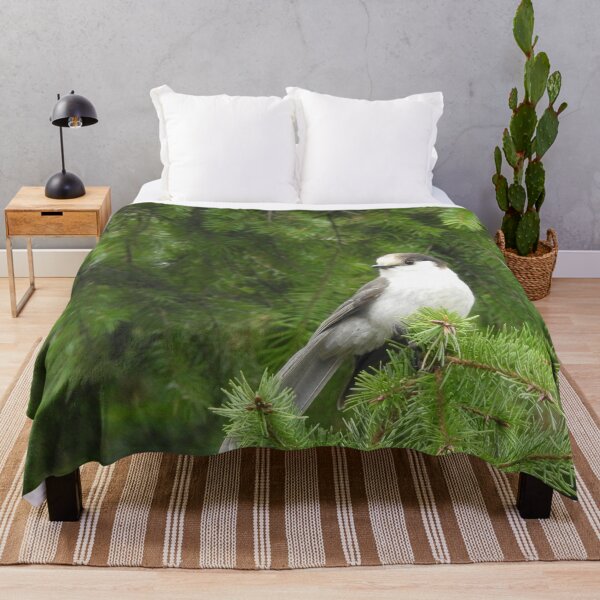 Item preview, Gray Jay, birds, nature, wildlife, gifts designed and sold by Sandra O'Toole.