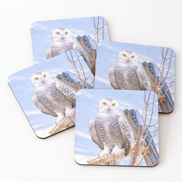 Item preview, Snowy Owl on Guard designed and sold by FineArtography.