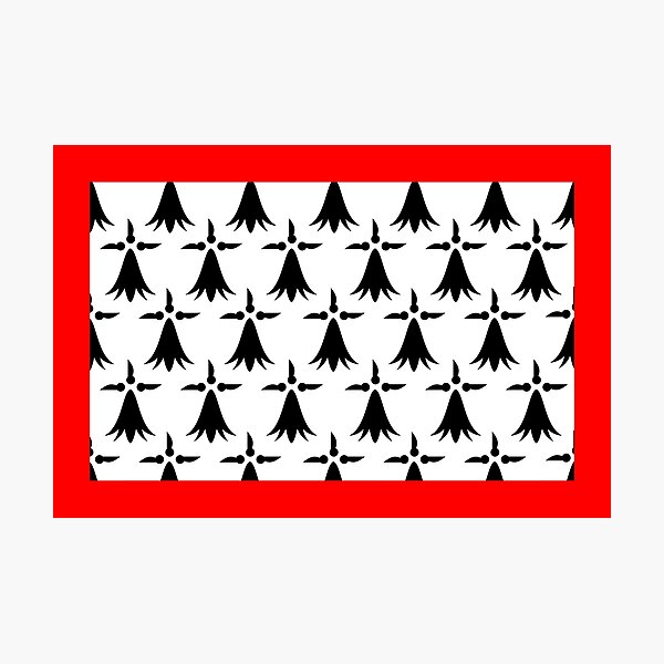 Item preview, Limousin flag designed and sold by tony4urban.