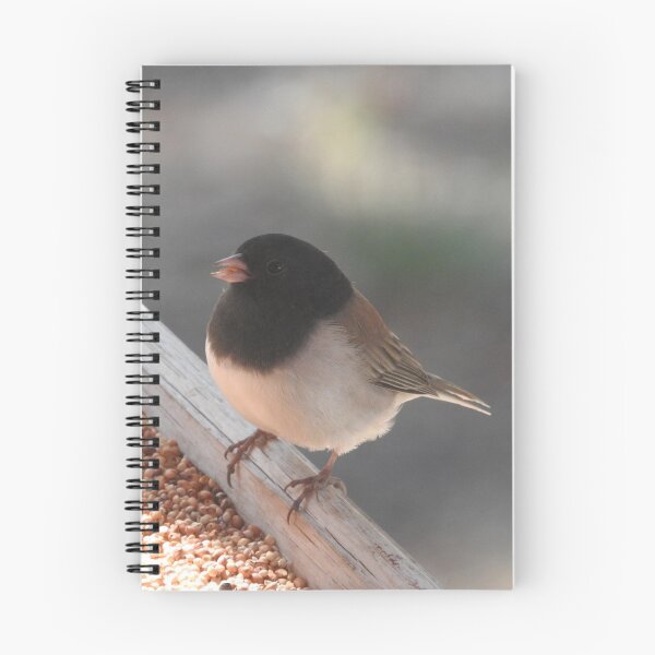 Item preview, Junco de ojos oscuros, Aves Silvestres, Vida Silvestre, Naturaleza designed and sold by Sandra O'Toole.