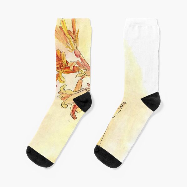 Socks