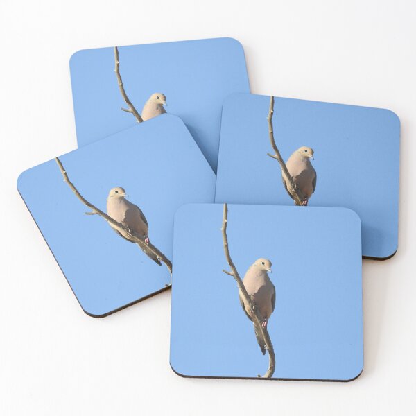 Artikelvorschau, Trauertaube, Vögel, Wildtiere, Natur, Geschenke entworfen und verkauft von Sandra O'Toole.