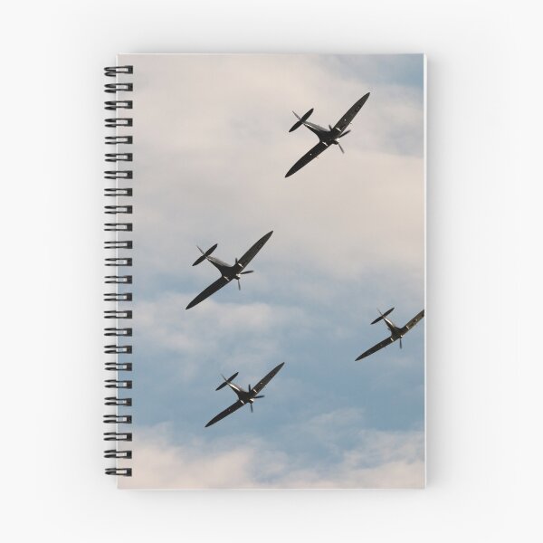 Item preview, Spitfire Anniversary designed and sold by Airpower Art.