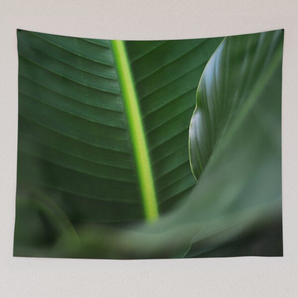 Item preview, Close-up Bird of paradise leaf designed and sold by Asiantiger247.