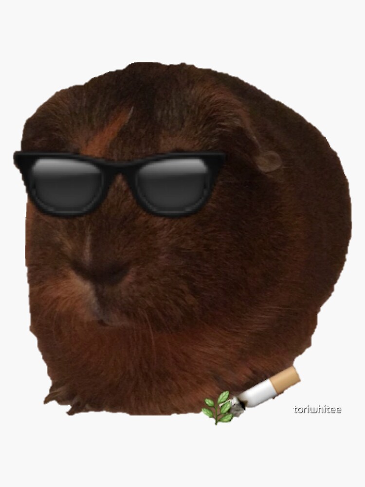 "Verbeanya the Guinea Pig Smoking " Sticker by toriwhitee Redbubble