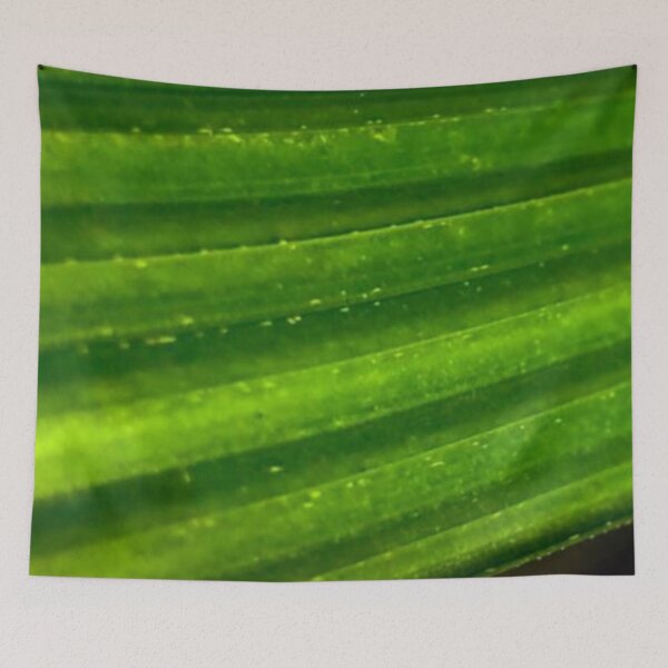 Item preview, Travelers Palm frond designed and sold by Asiantiger247.