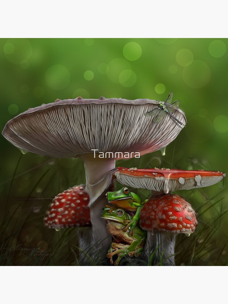 Summer Rain by Tammara