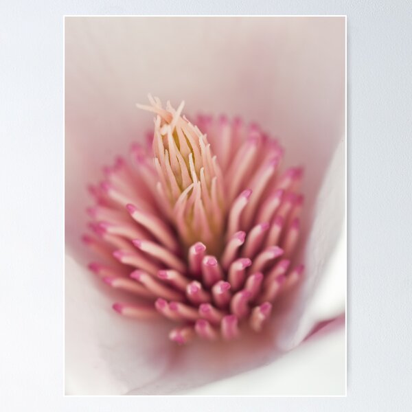 Item preview, magnolia 2011 designed and sold by jude walton.