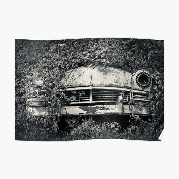 recluse Poster