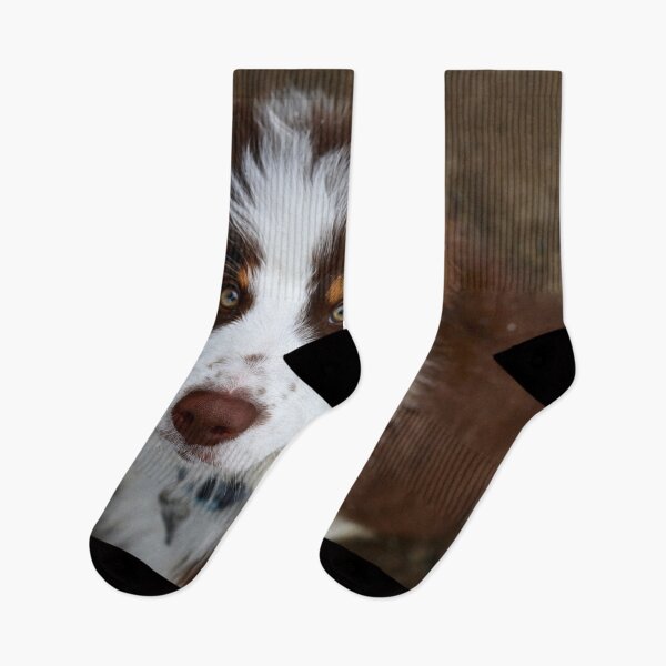 Item preview, Australian Sheppard Puppy designed and sold by Yannik Hay.
