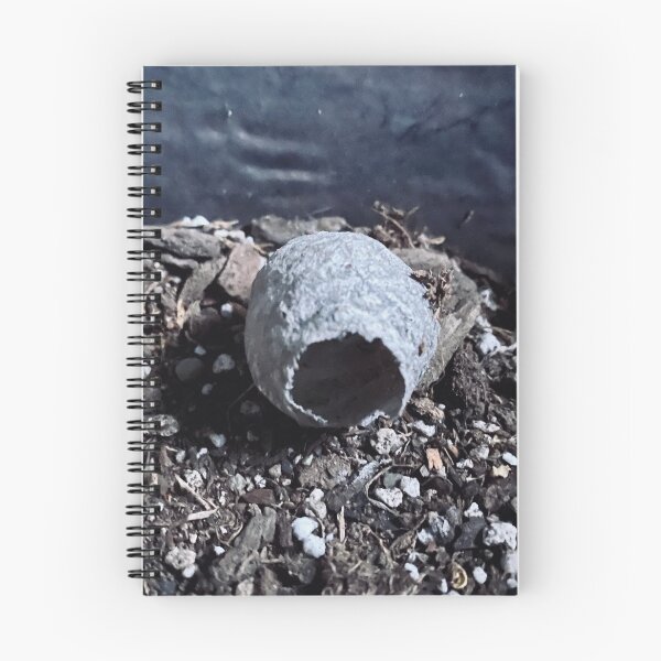 Item preview, empty nest designed and sold by Jthuluphoto.