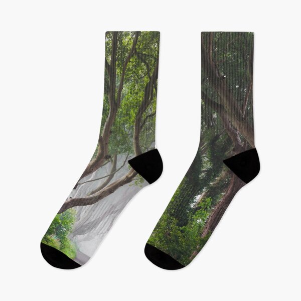 Item preview, The Dark Hedges designed and sold by Zdrojewski.