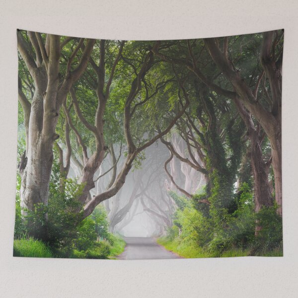 Item preview, The Dark Hedges designed and sold by Zdrojewski.