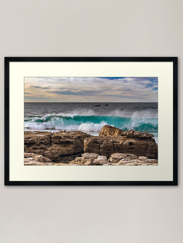 Thumbnail 2 of 7, Framed Art Print, Moes Rock Whales designed and sold by Rainphotography.