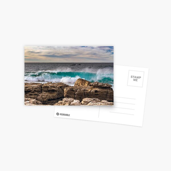 Item preview, Moes Rock Whales  designed and sold by Rainphotography.