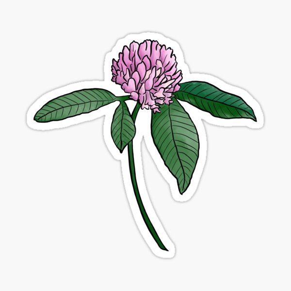 Item preview, red clover designed and sold by heatherlynneart.