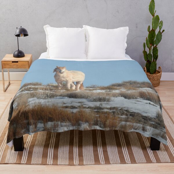 Item preview, Wild horses, Arizona, nature, wildlife, gifts designed and sold by Sandra O'Toole.