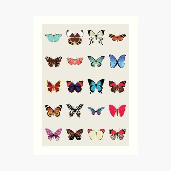 Butterflies Art Print