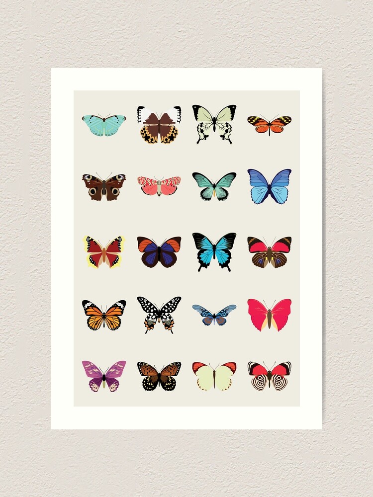 Alternate view of Butterflies Art Print