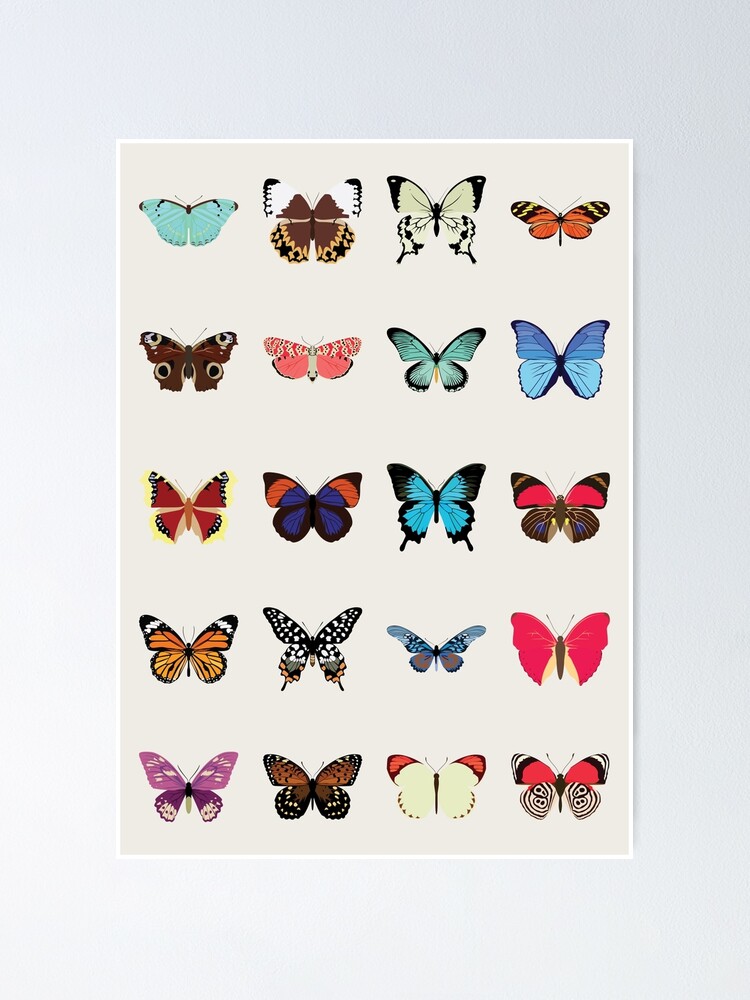 Alternate view of Butterflies Poster