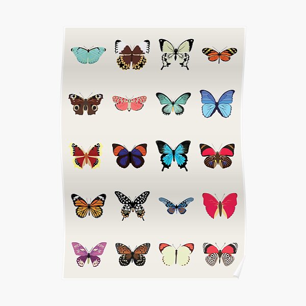 Butterflies Poster